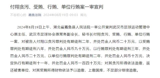 官方网站-武汉足协原秘书长付翔获刑11年 并处罚金140万